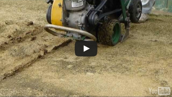 Cutting grass in Feb. 2013