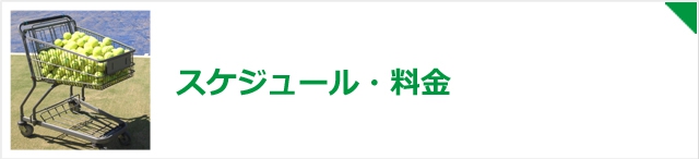 スケジュール・料金